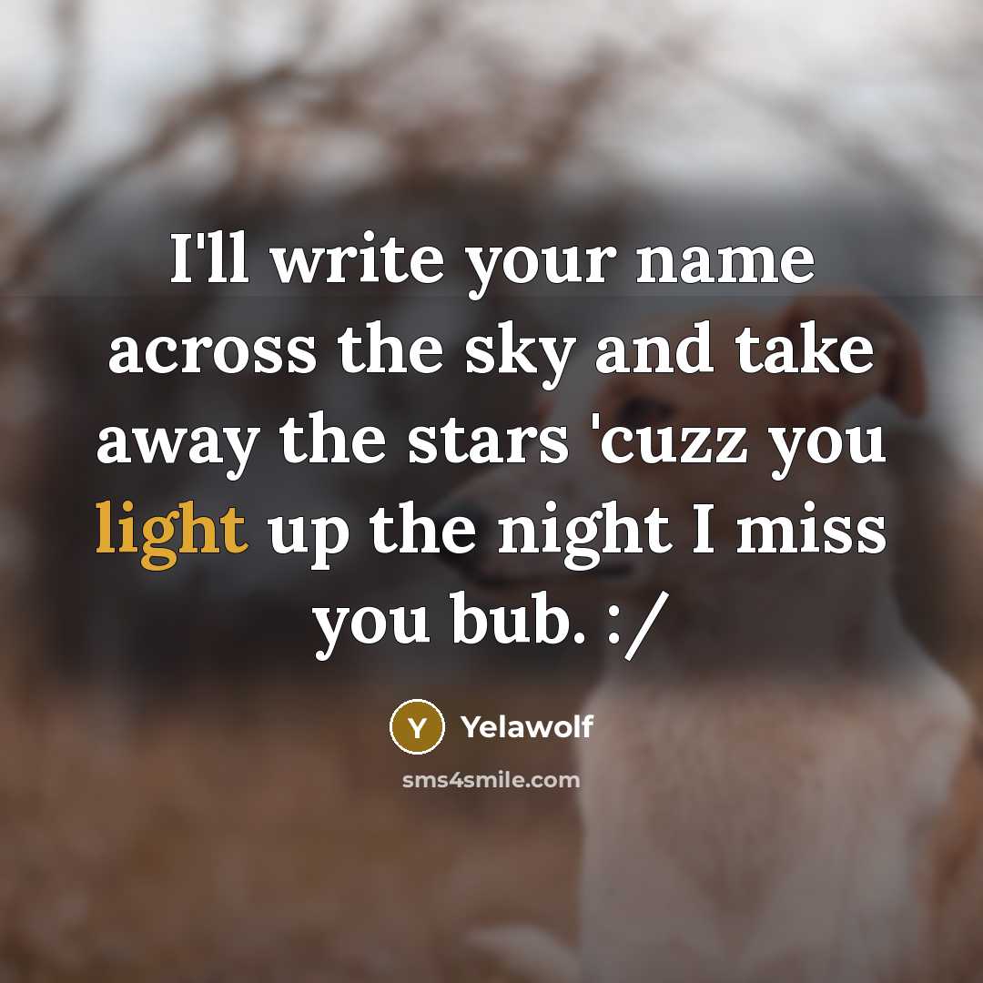 “I'll write your name across the sky and take away…” quote by Yelawolf