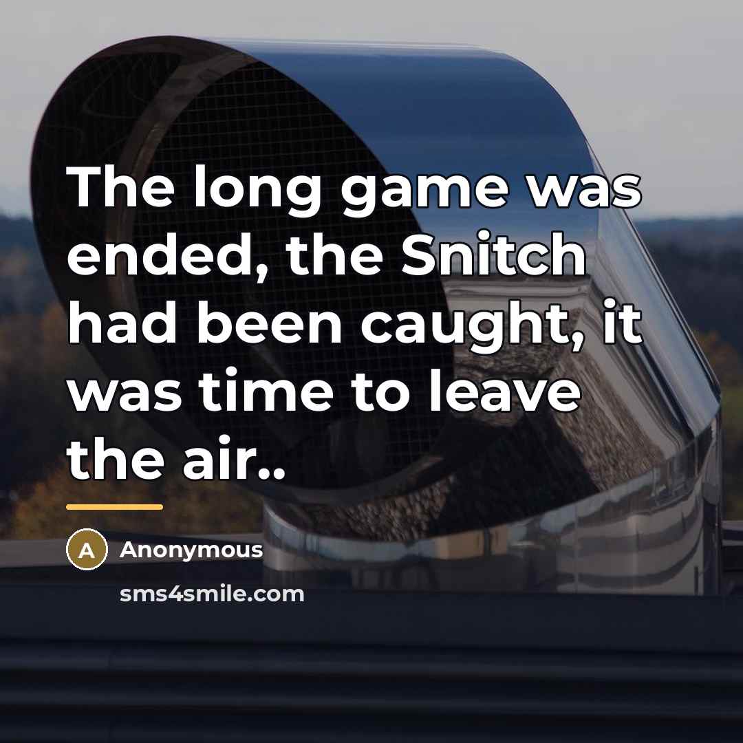“The long game was ended, the Snitch had been caught,…” quote by Anonymous