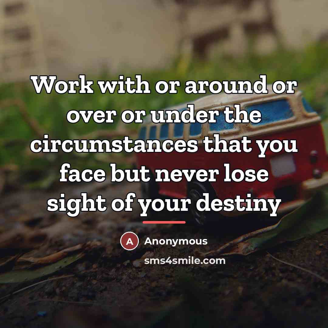 “Work with or around or over or under the circumstances…” quote by Anonymous