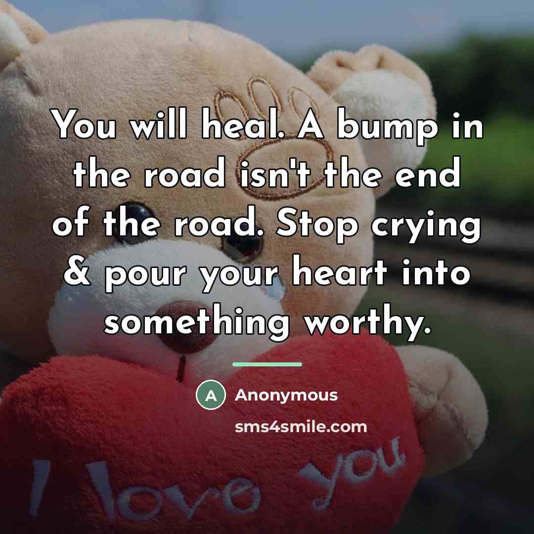 “You will heal. A bump in the road isn't the…” quote by Anonymous