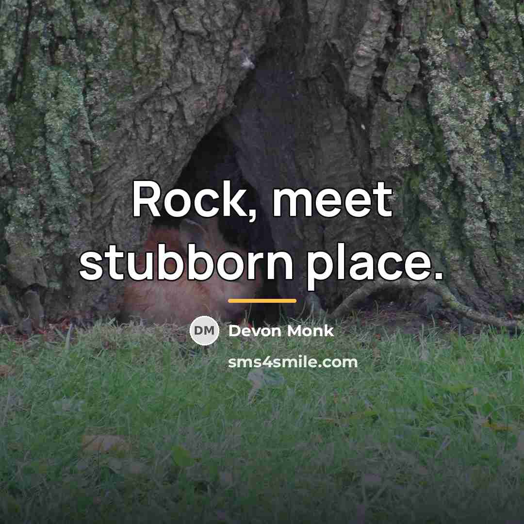 “Rock, meet stubborn place.…” quote by Devon Monk
