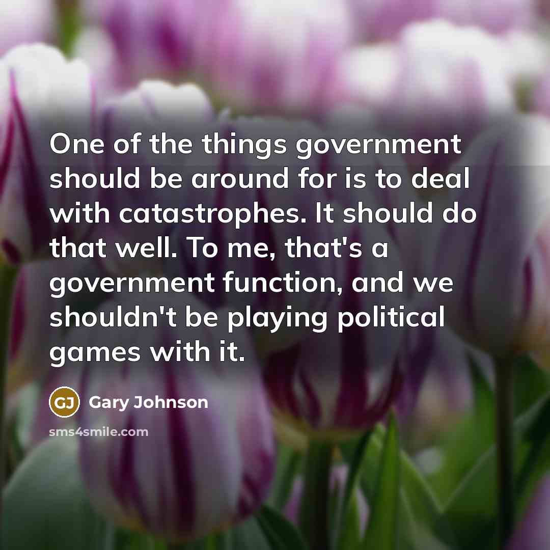 “One of the things government should be around for is…” quote by Gary Johnson