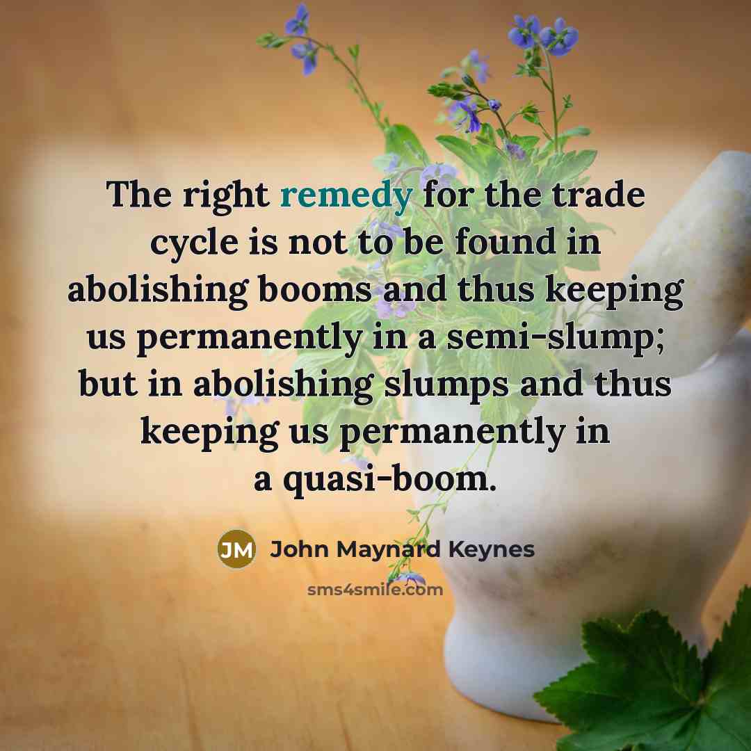 “The right remedy for the trade cycle is not to…” quote by John Maynard Keynes