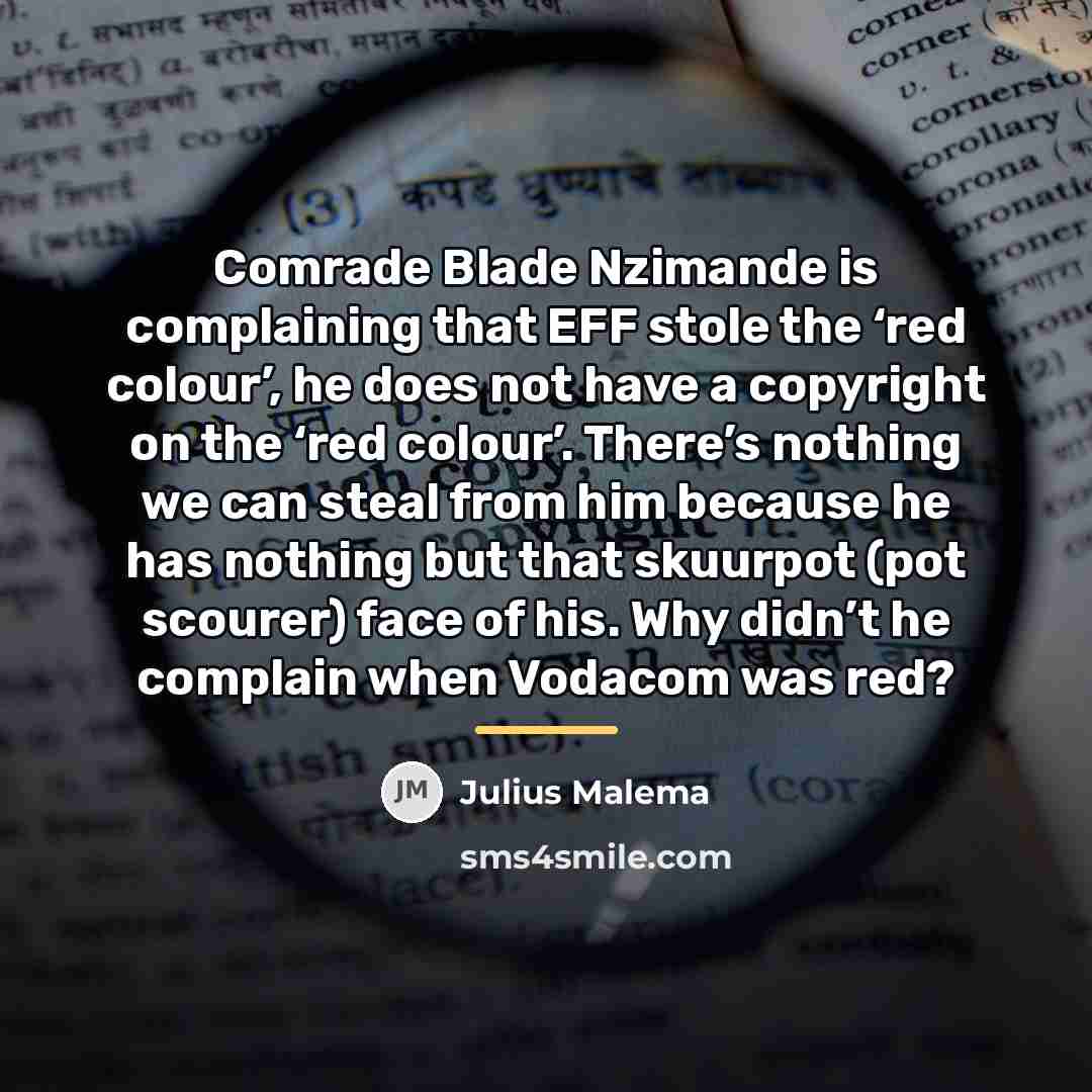 “Comrade Blade Nzimande is complaining that EFF stole the ‘red…” quote by Julius Malema