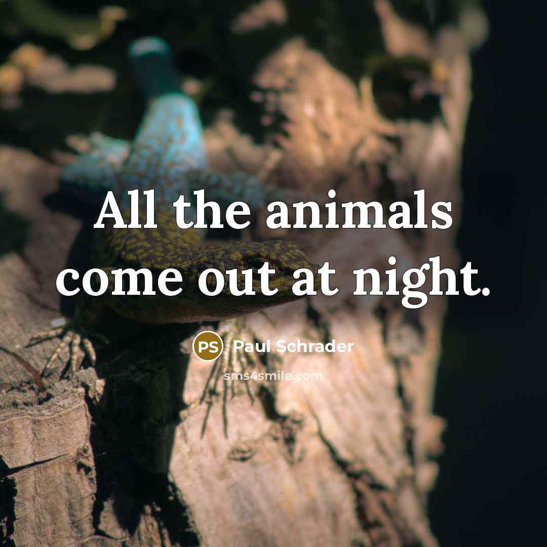 “All the animals come out at night.…” quote by Paul Schrader