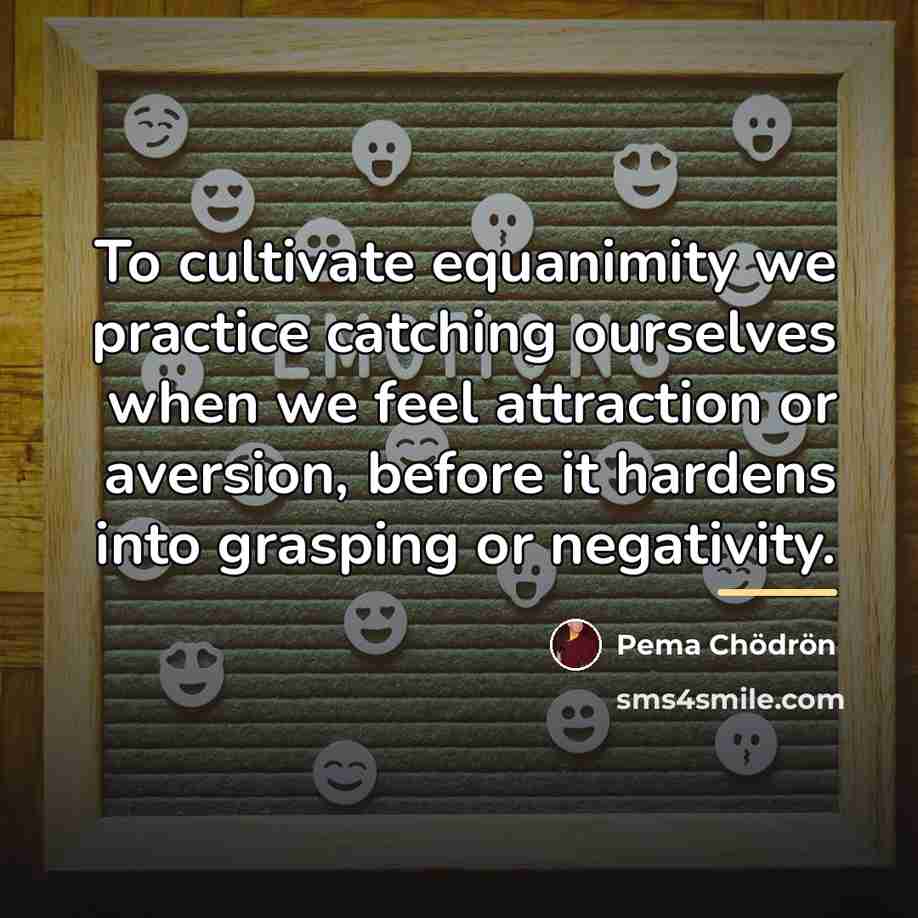 “To cultivate equanimity we practice catching ourselves when we feel…” quote by Pema Chodron