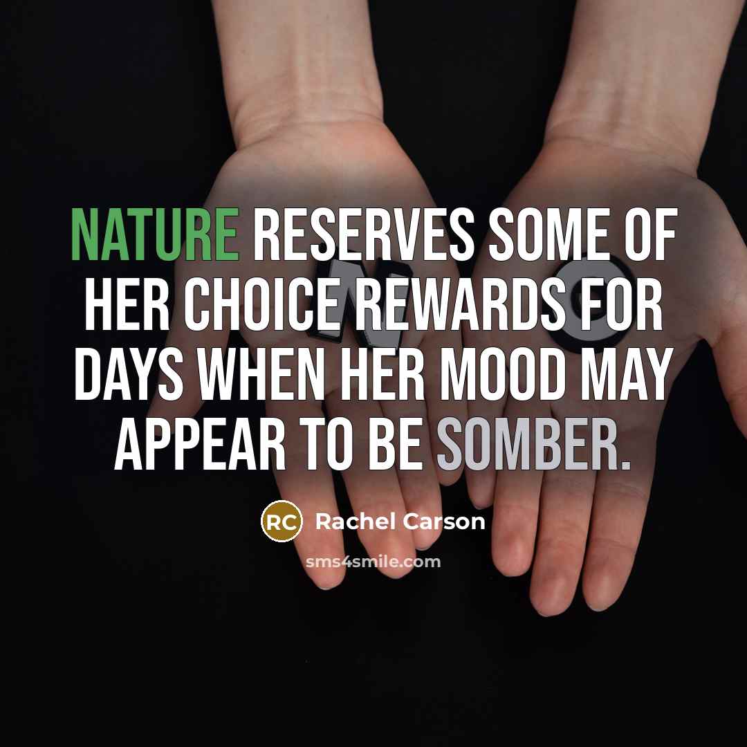 “Nature reserves some of her choice rewards for days when…” quote by Rachel Carson