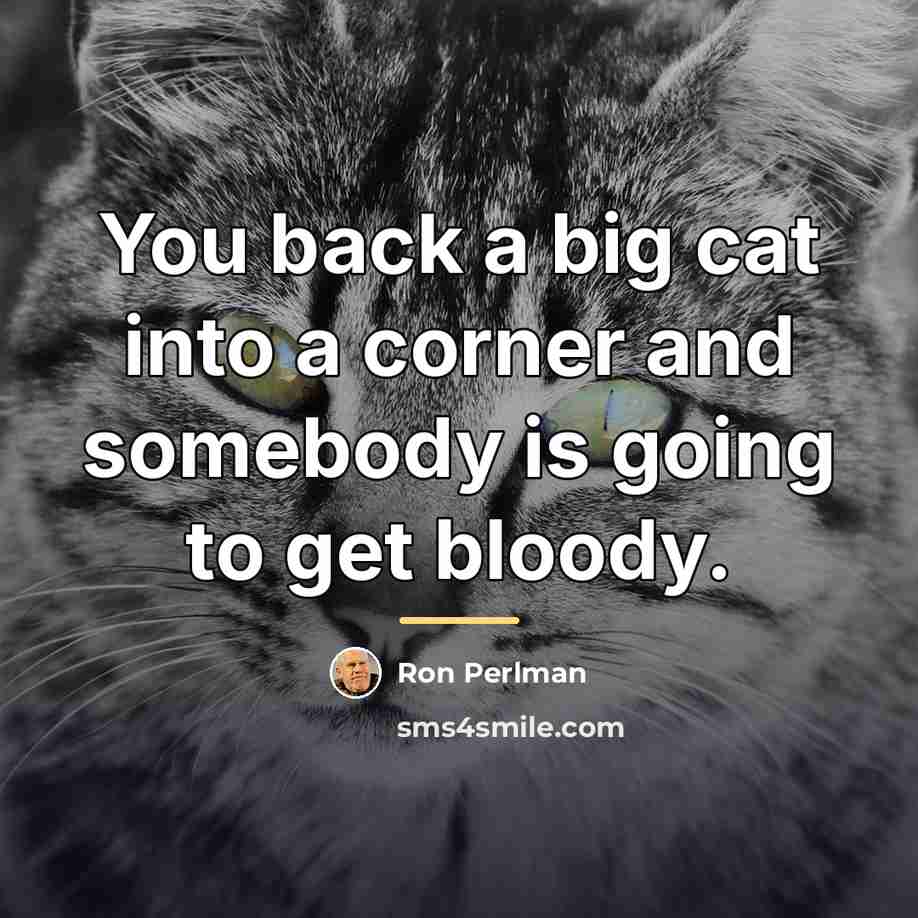 “You back a big cat into a corner and somebody…” quote by Ron Perlman