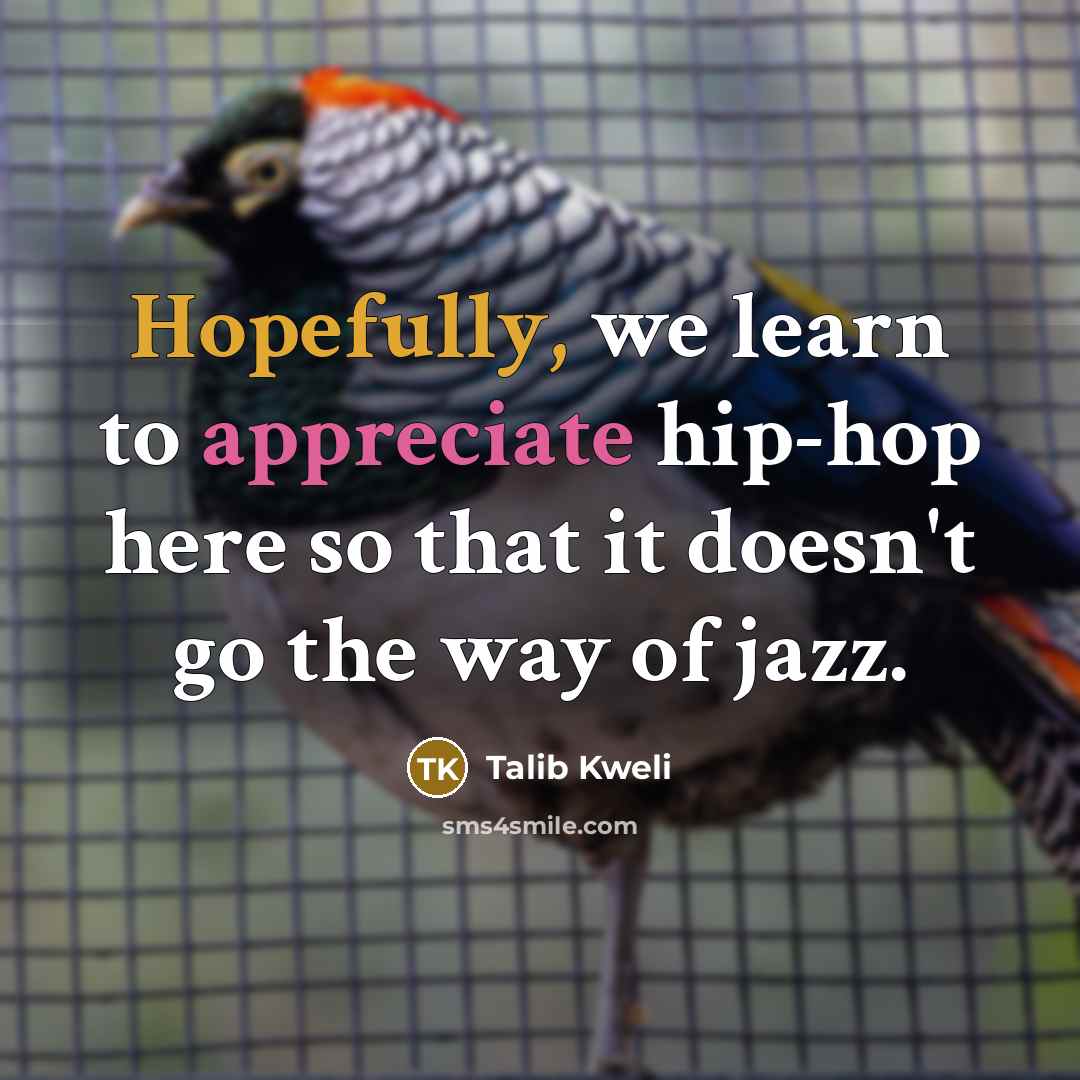 “Hopefully, we learn to appreciate hip-hop here so that it…” quote by Talib Kweli