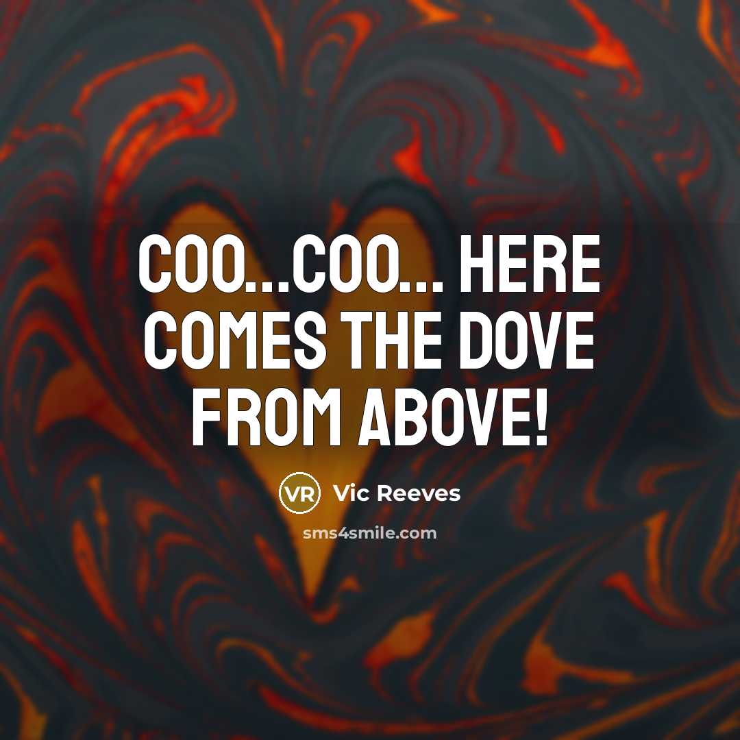 “Coo...coo... here comes the dove from above!…” quote by Vic Reeves