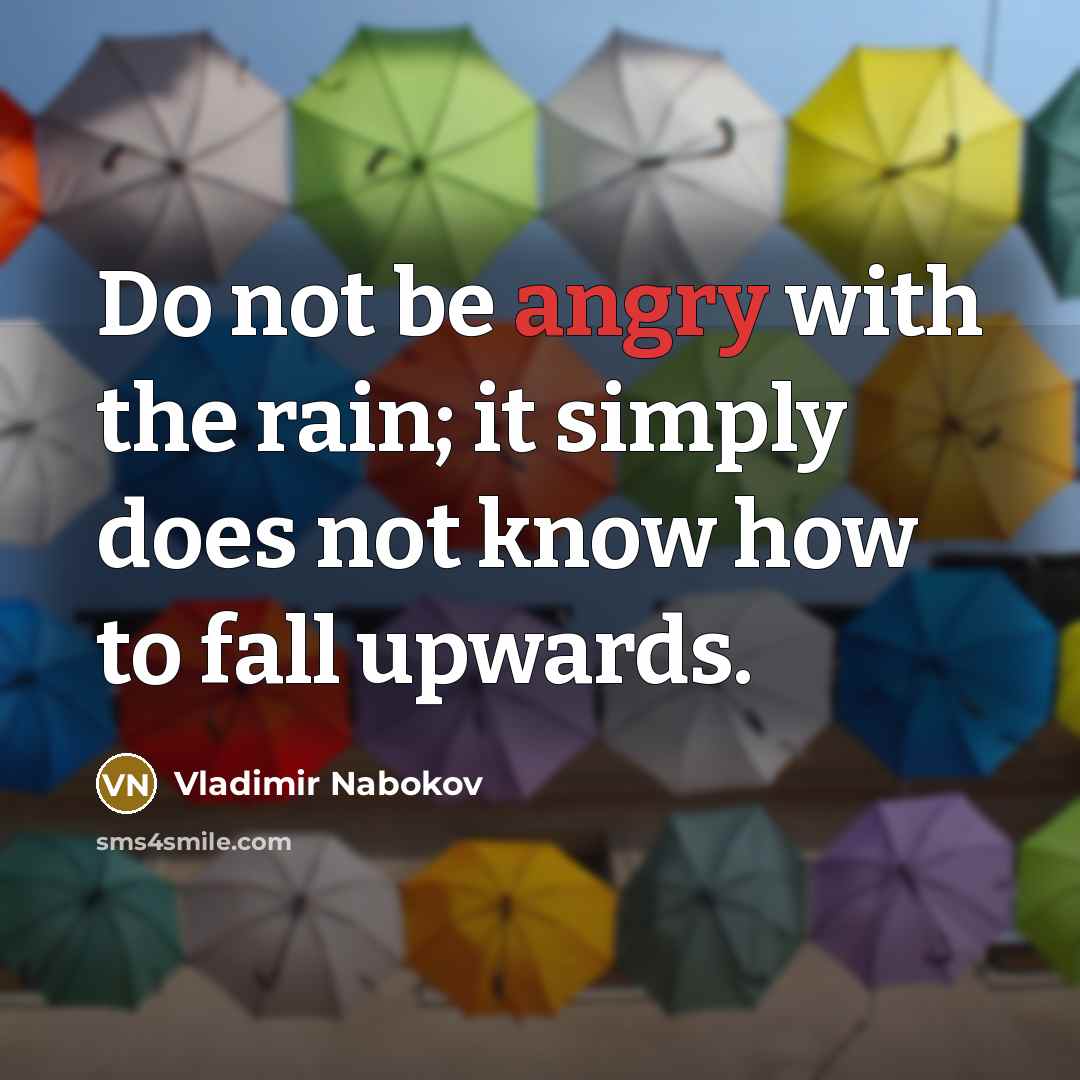 “Do not be angry with the rain; it simply does…” quote by Vladimir Nabokov