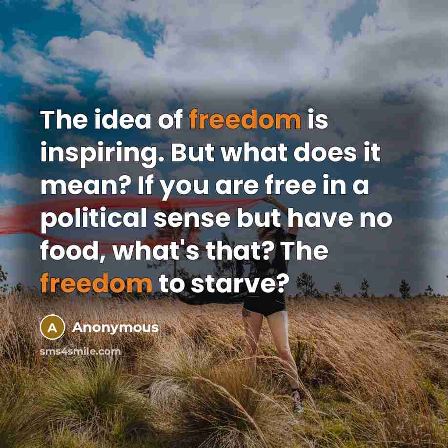 “The idea of freedom is inspiring. But what does it…” quote by Anonymous
