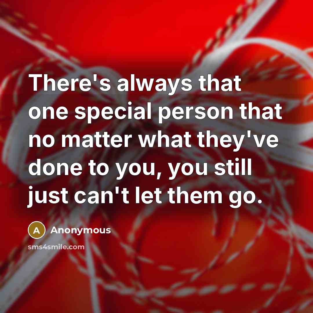 “There's always that one special person that no matter what they've done to you, you still just can't let them go.” quote by Anonymous