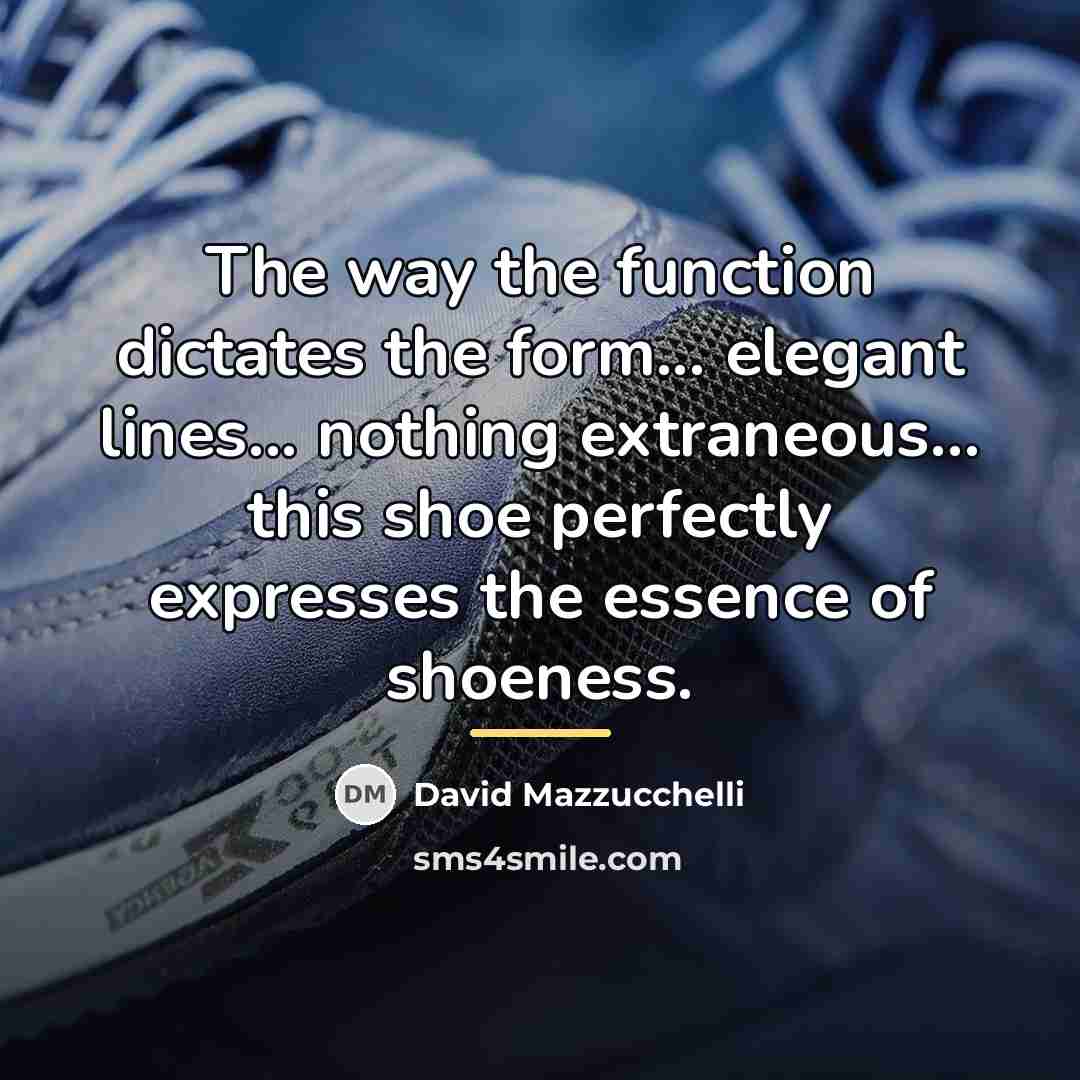 “The way the function dictates the form... elegant lines... nothing…” quote by David Mazzucchelli