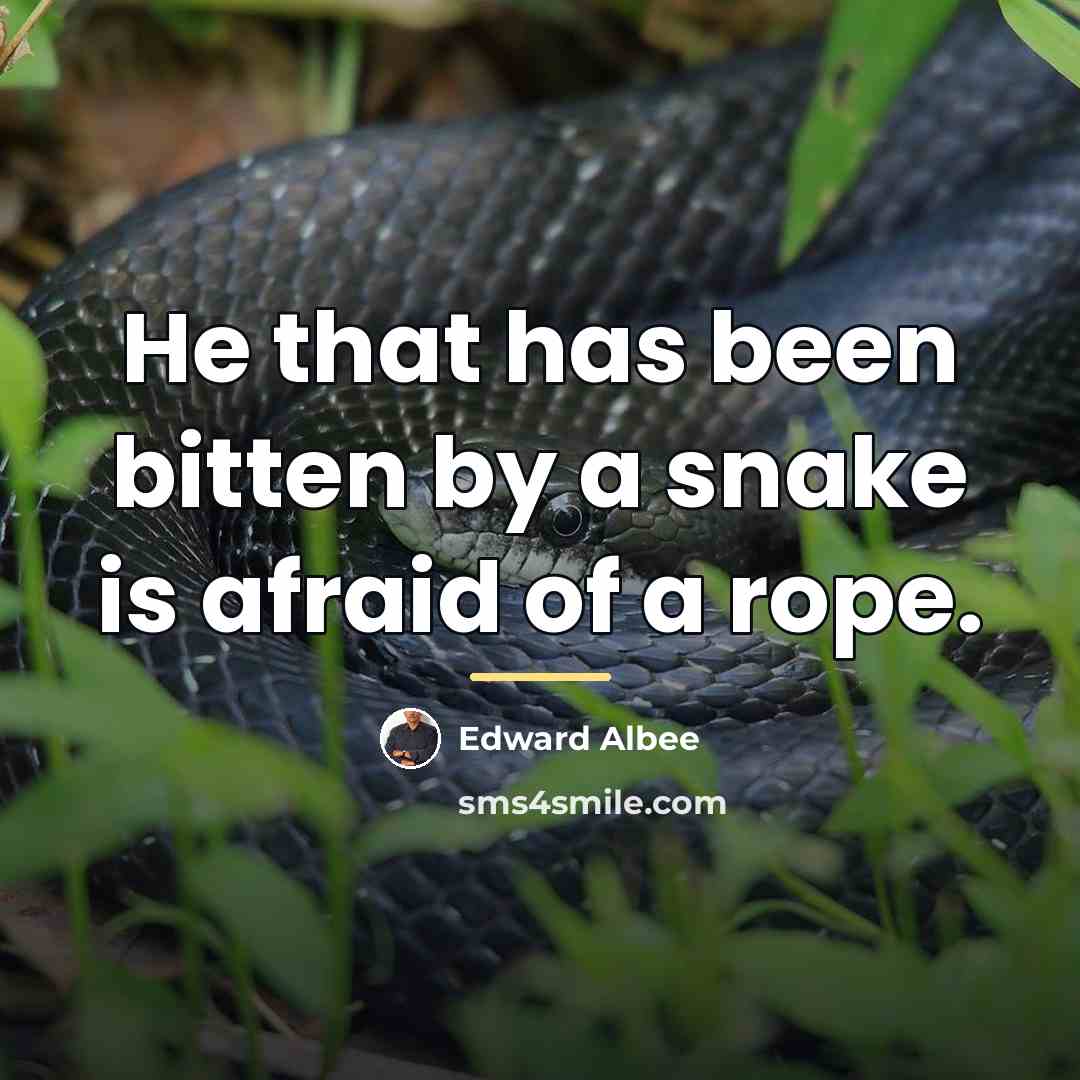 “He that has been bitten by a snake is afraid…” quote by Edward Albee