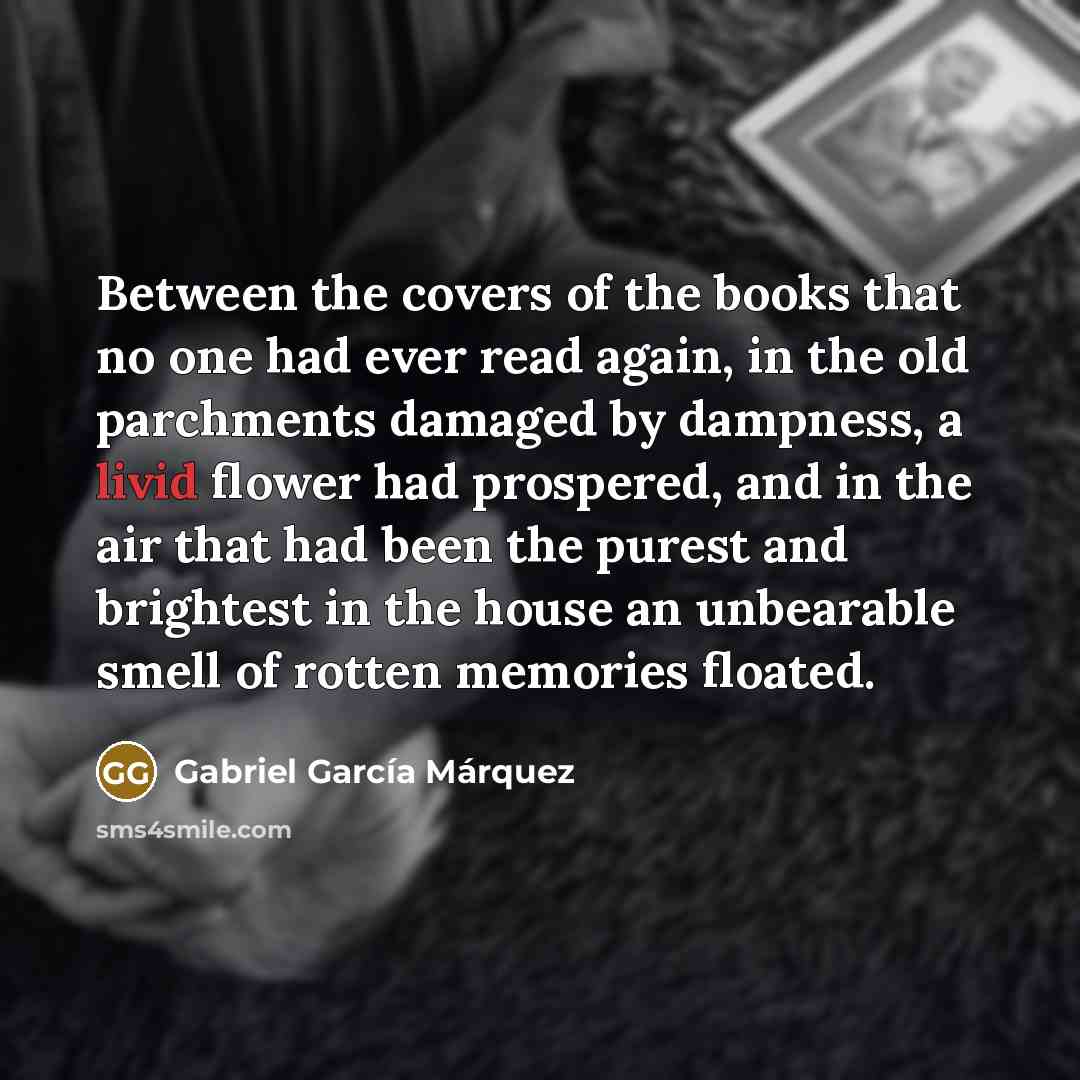 “Between the covers of the books that no one had…” quote by Gabriel Garcia Marquez