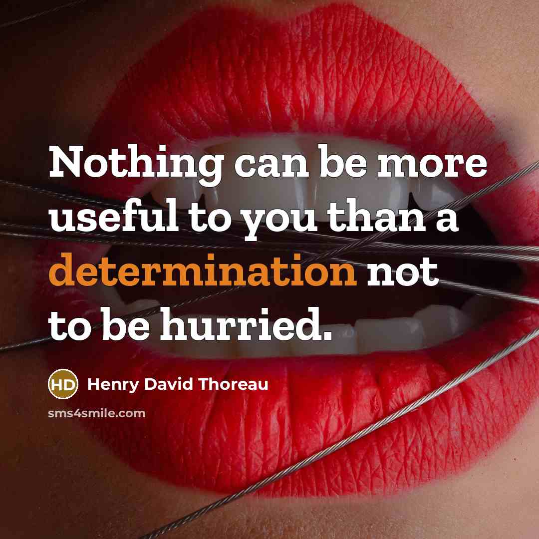 “Nothing can be more useful to you than a determination…” quote by Henry David Thoreau