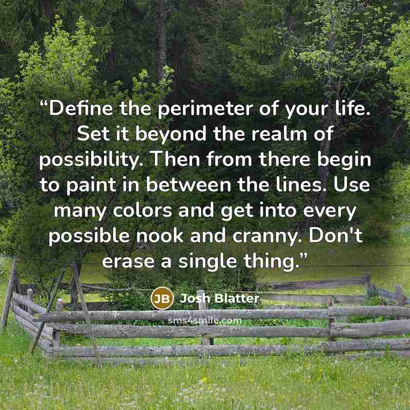 “Define the perimeter of your life. Set it beyond the realm of possibility. Then from there begin to paint in between the lines. Use many colors and get into every possible nook and cranny. Don't erase a single thing.” quote by Josh Blatter