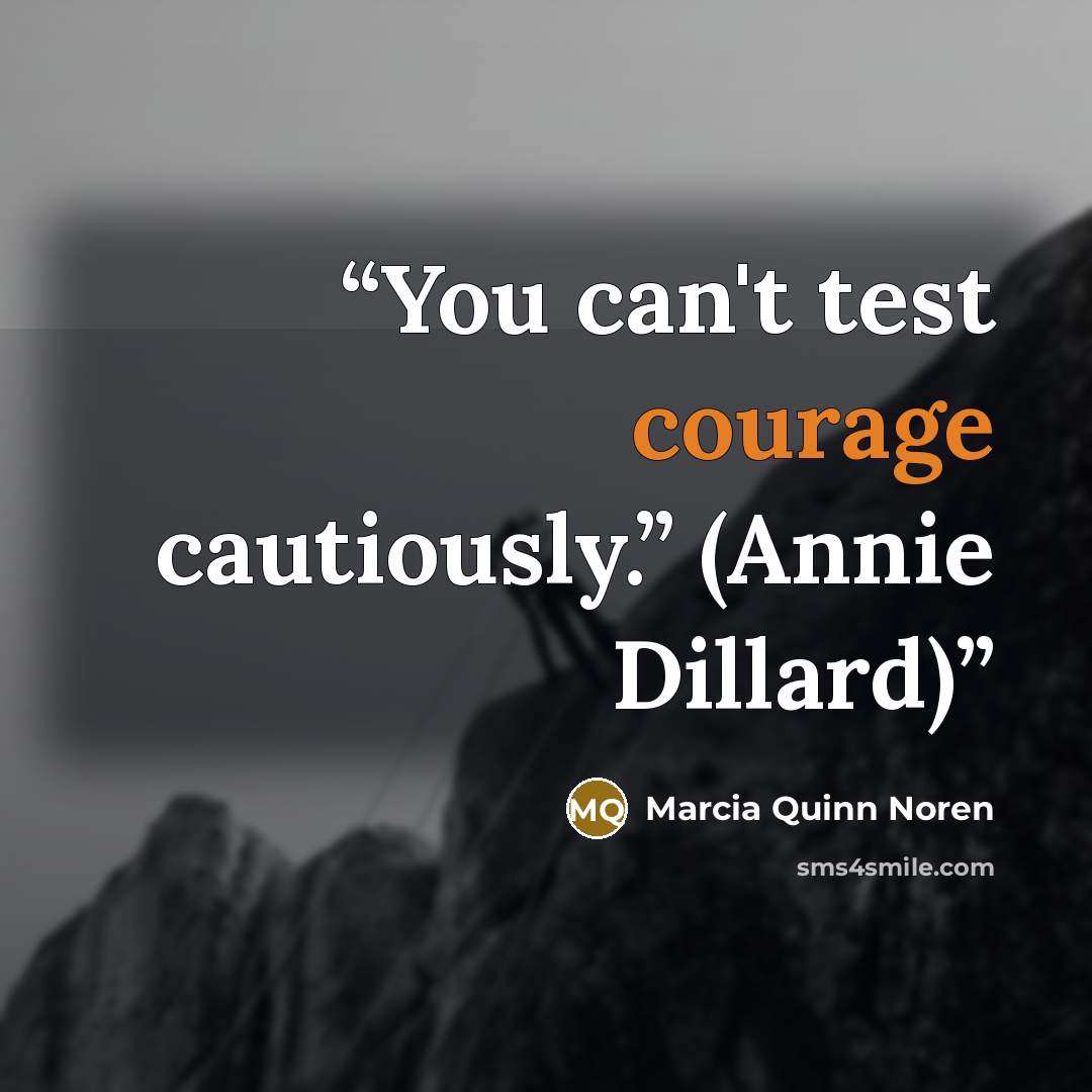 “You can't test courage cautiously.” (Annie Dillard)” quote by Marcia Quinn Noren