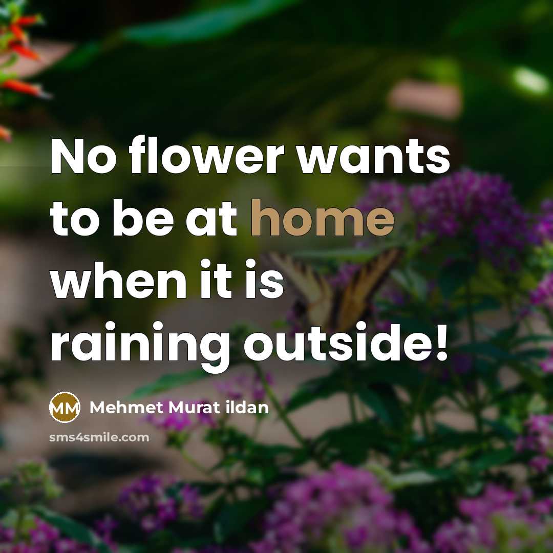“No flower wants to be at home when it is…” quote by Mehmet Murat Ildan