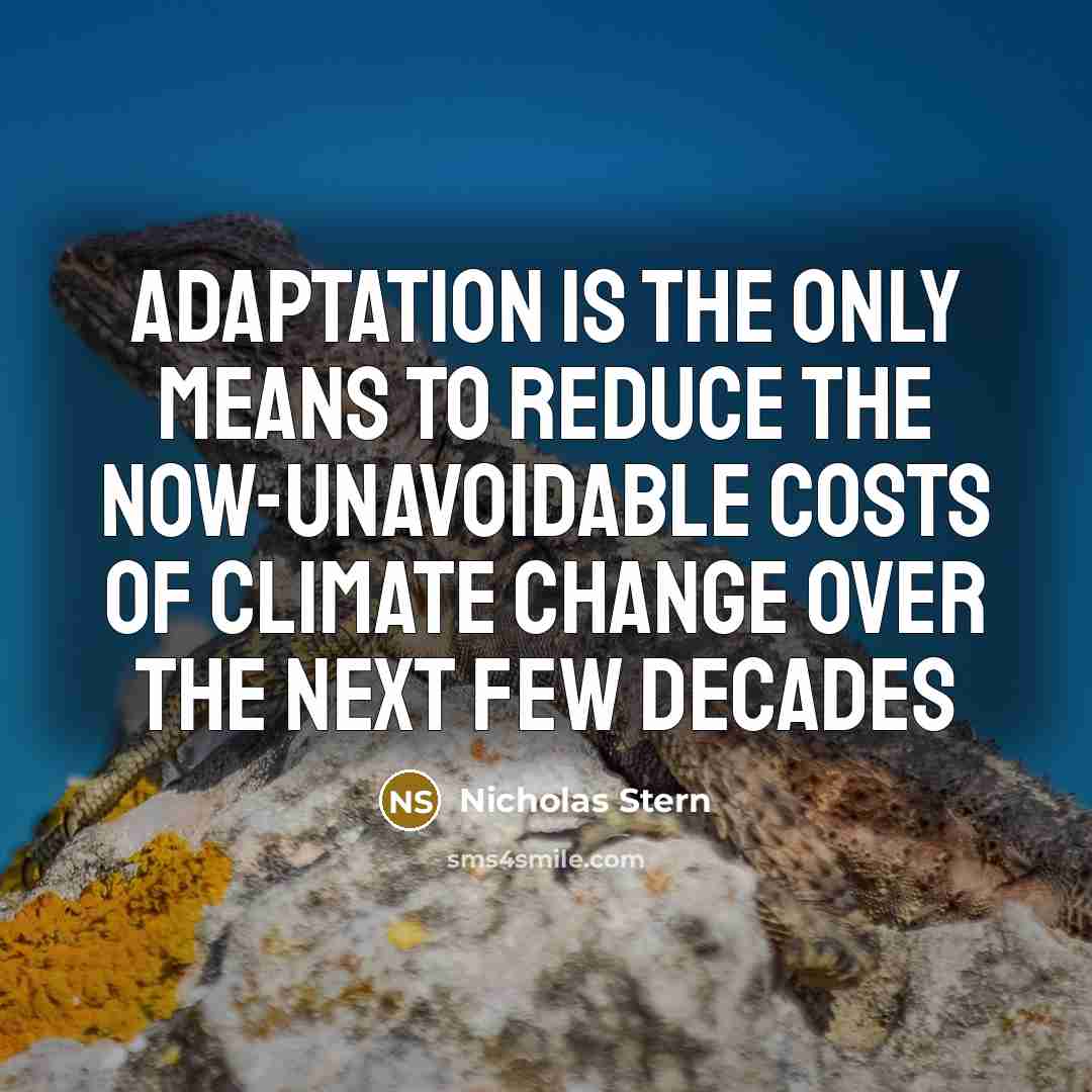 “Adaptation is the only means to reduce the now-unavoidable costs…” quote by Nicholas Stern