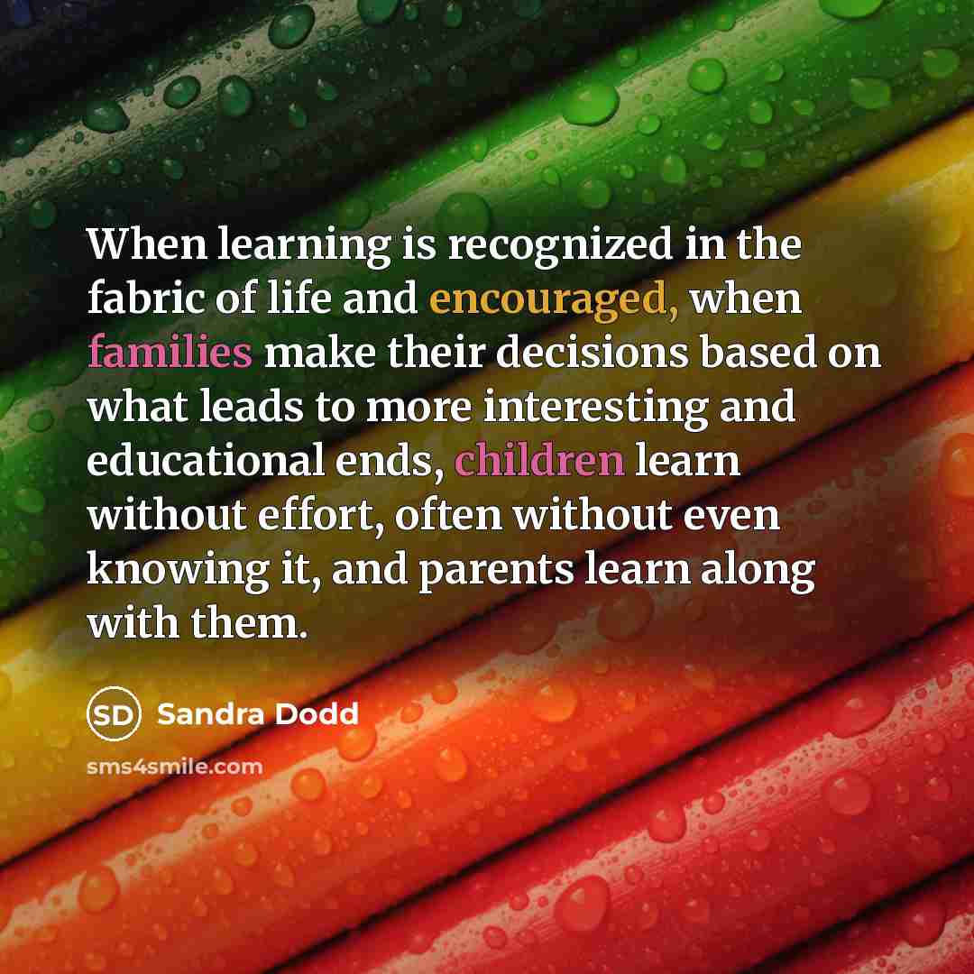 “When learning is recognized in the fabric of life and encouraged, when families make their decisions based on what leads to more interesting and educational ends, children learn without effort, often without even knowing it, and parents learn along with them.” quote by Sandra Dodd