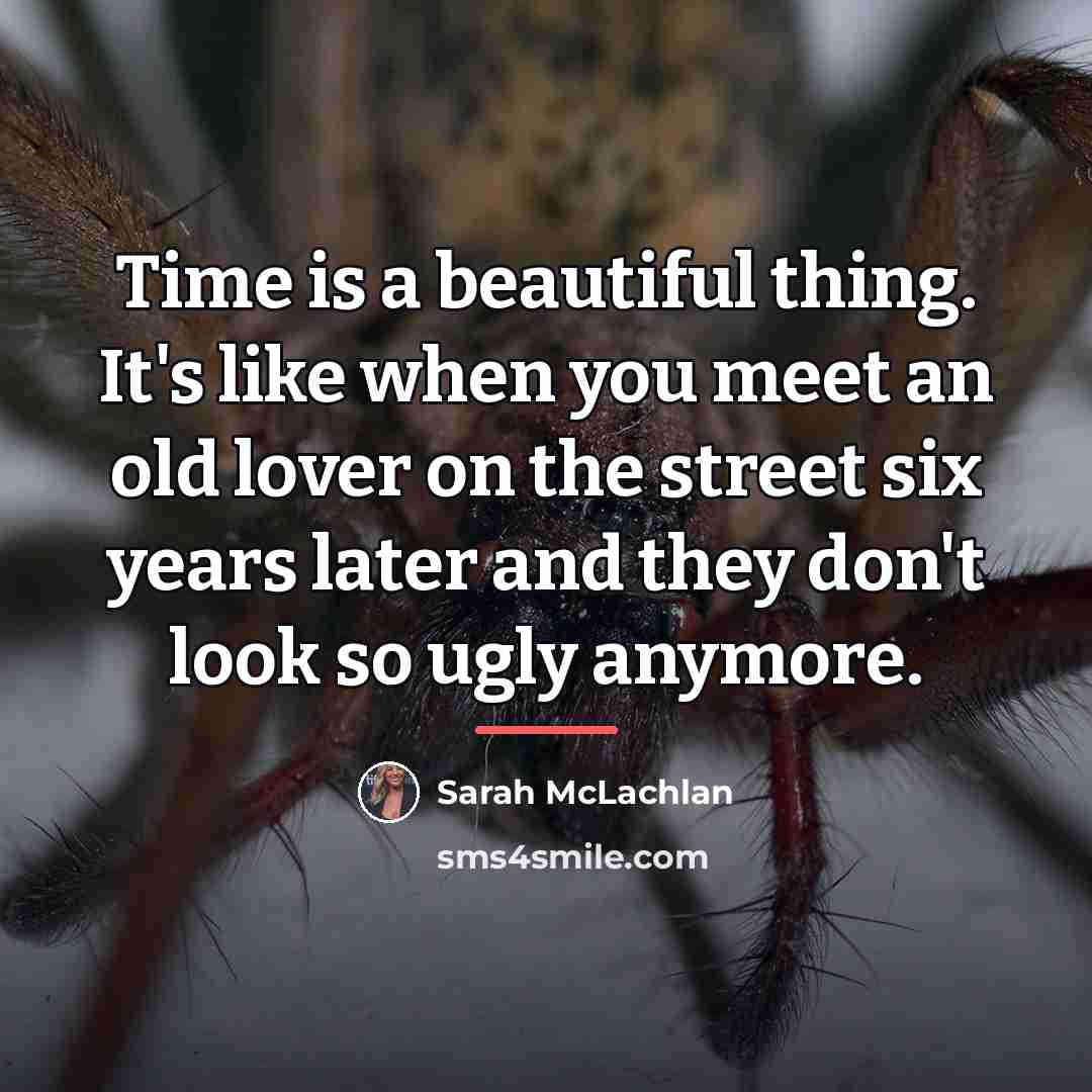 “Time is a beautiful thing. It's like when you meet…” quote by Sarah McLachlan
