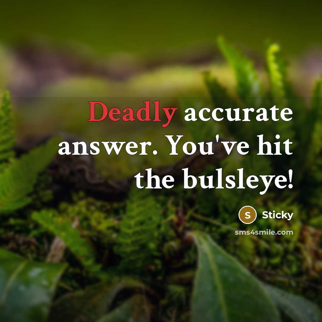 “Deadly accurate answer. You've hit the bulsleye!…” quote by Sticky