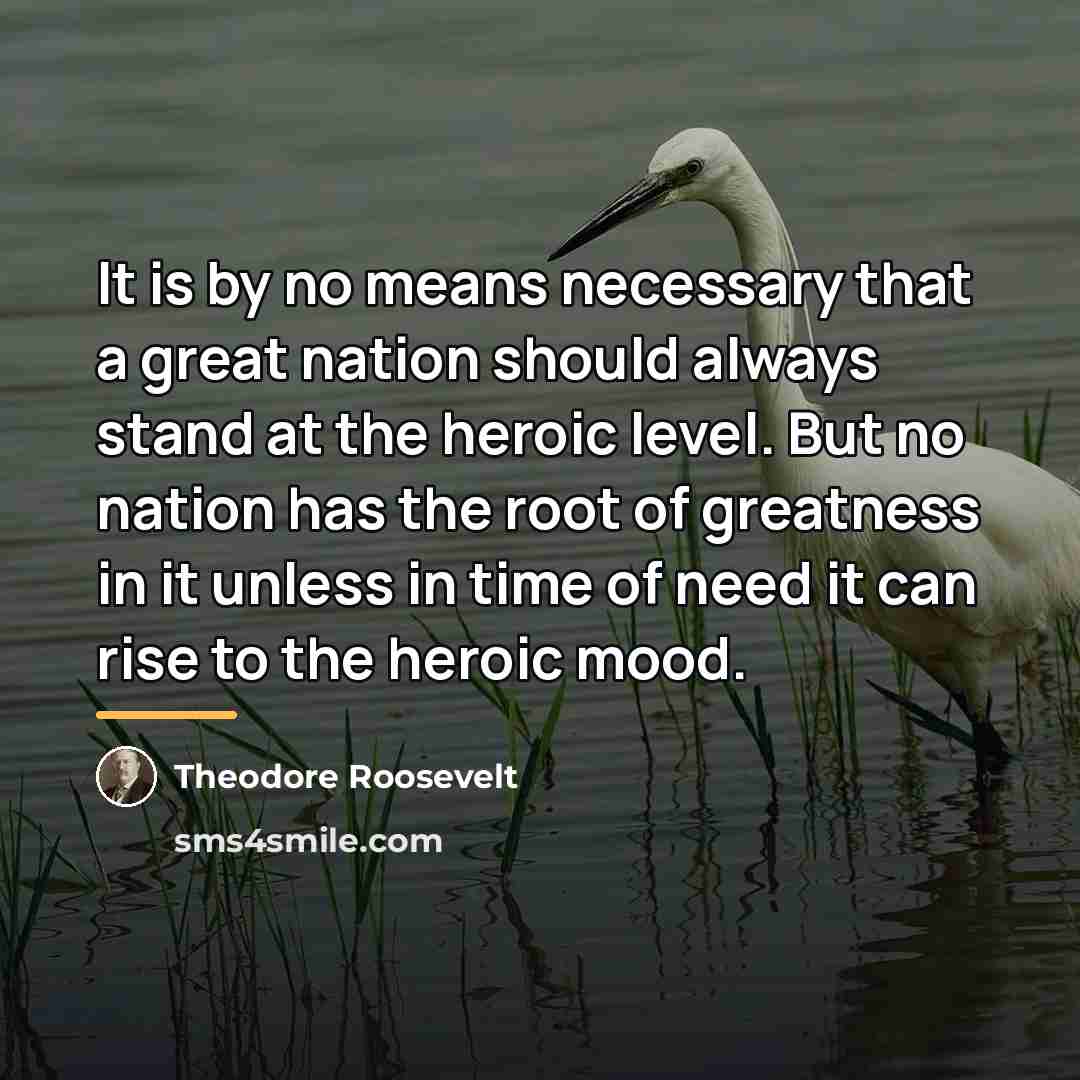 “It is by no means necessary that a great nation…” quote by Theodore Roosevelt