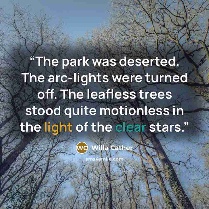 “The park was deserted. The arc-lights were turned off. The leafless trees stood quite motionless in the light of the clear stars.” quote by Willa Cather