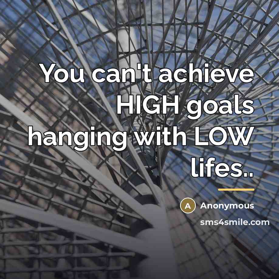 “You can't achieve HIGH goals hanging with LOW lifes..…” quote by Anonymous