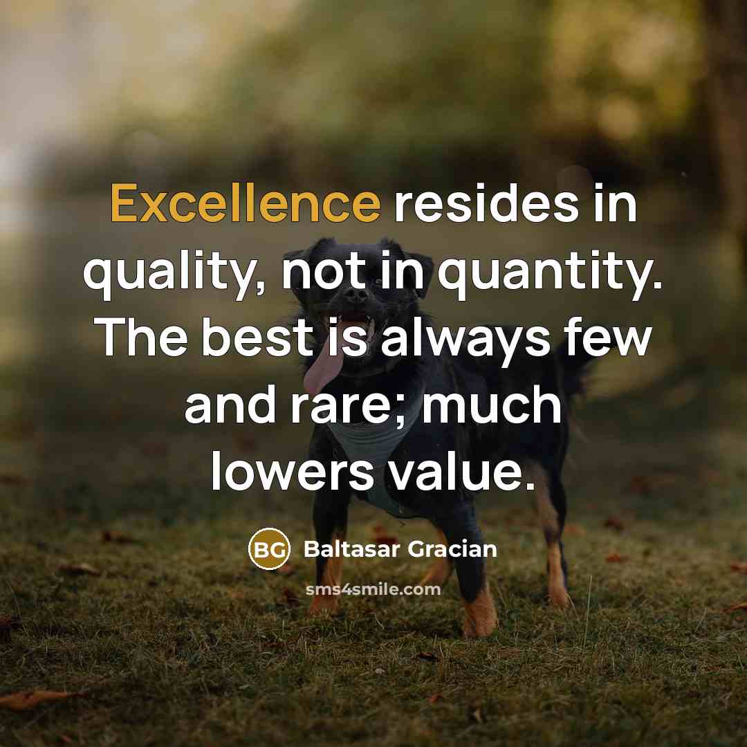 “Excellence resides in quality, not in quantity. The best is…” quote by Baltasar Gracian