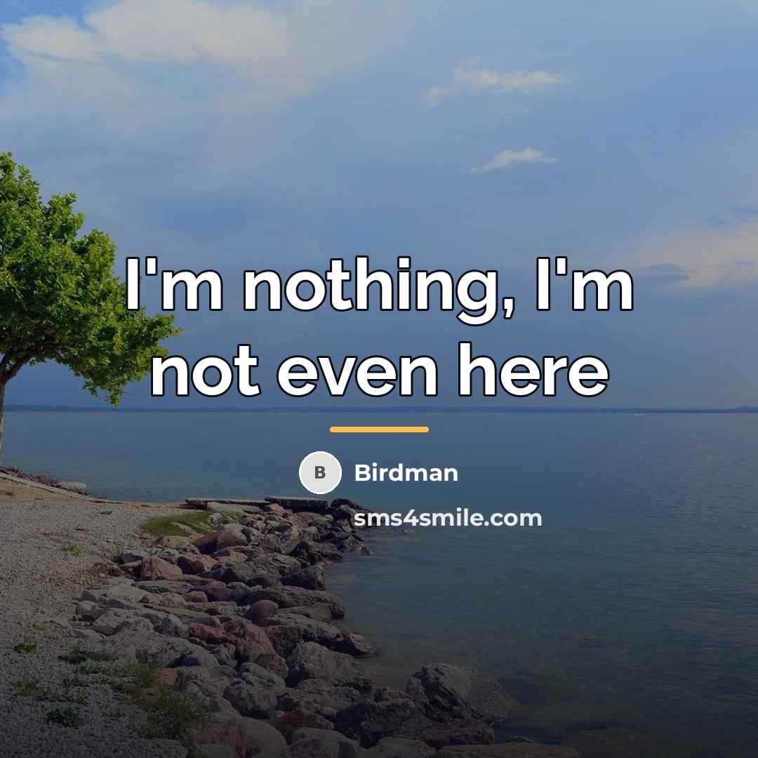 “I'm nothing, I'm not even here…” quote by Birdman