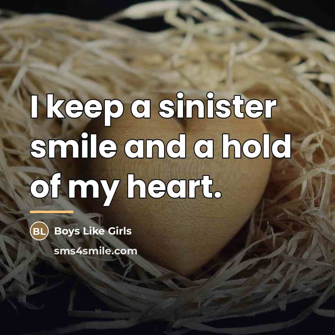 “I keep a sinister smile and a hold of my…” quote by Boys Like Girls