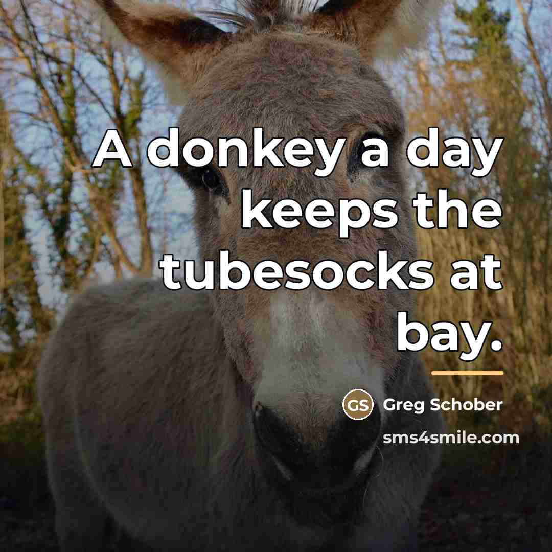 “A donkey a day keeps the tubesocks at bay.…” quote by Greg Schober