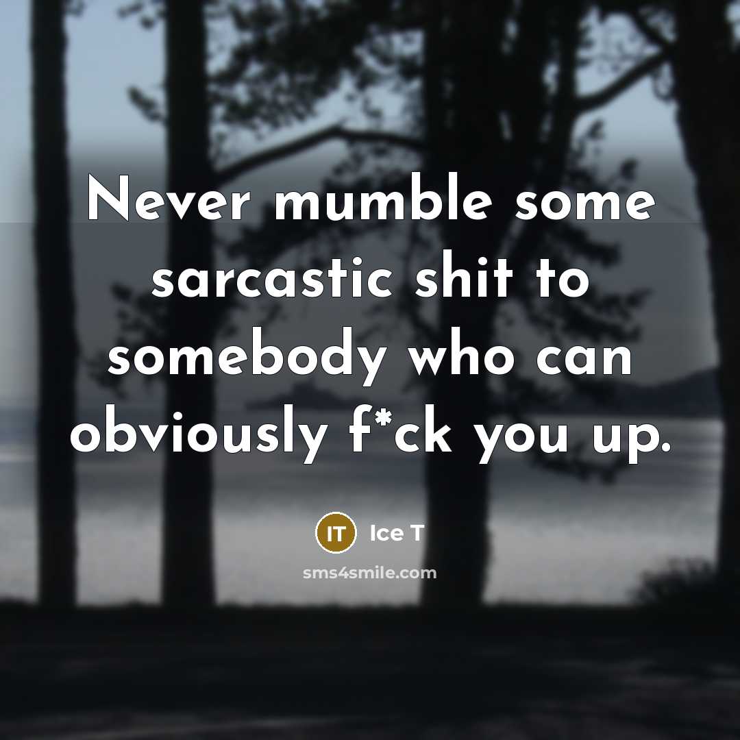 “Never mumble some sarcastic shit to somebody who can obviously f*ck you up.” quote by Ice T