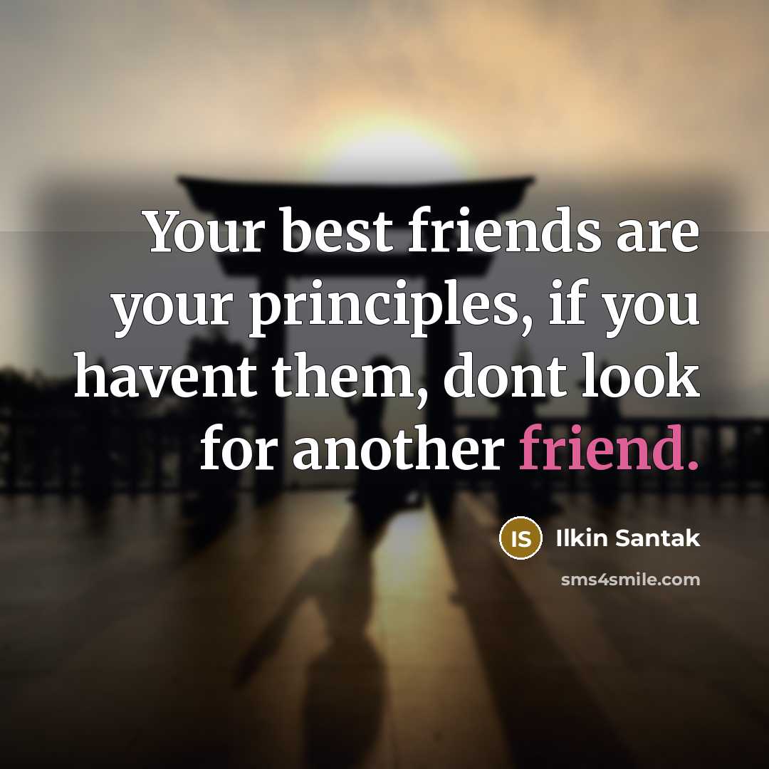 “Your best friends are your principles, if you havent them,…” quote by Ilkin Santak