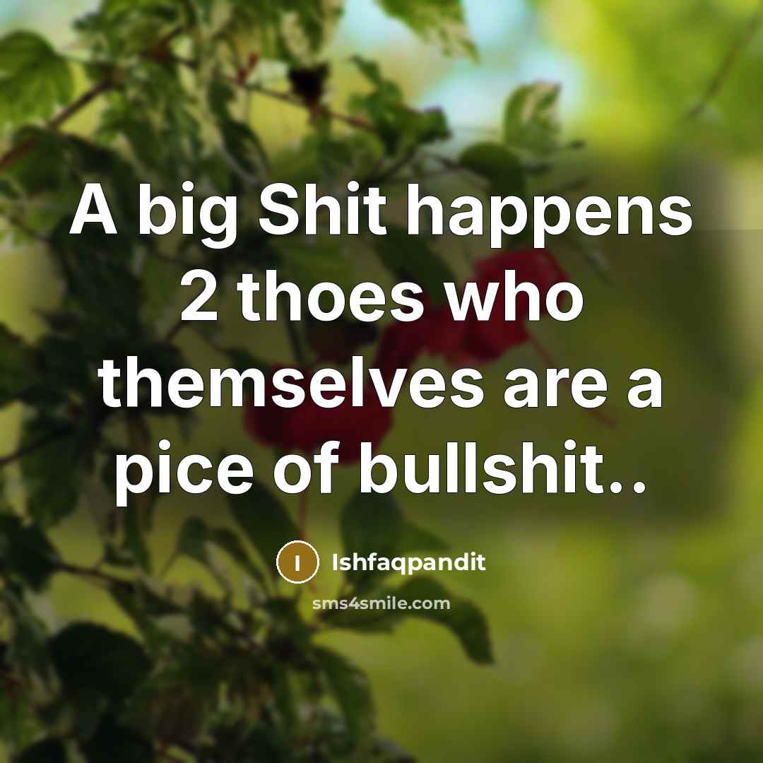 “A big Shit happens 2 thoes who themselves are a pice of bullshit..” quote by Ishfaqpandit