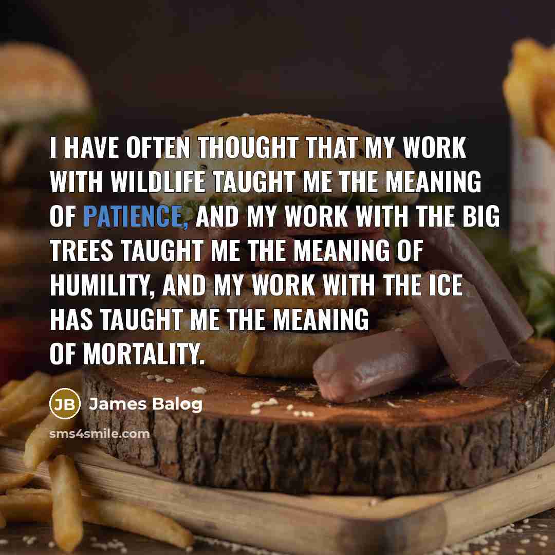 “I have often thought that my work with wildlife taught…” quote by James Balog