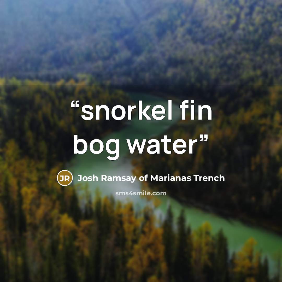 “snorkel fin bog water” quote by Josh Ramsay of Marianas Trench