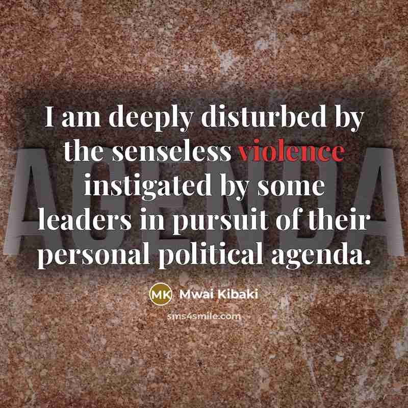 “I am deeply disturbed by the senseless violence instigated by…” quote by Mwai Kibaki
