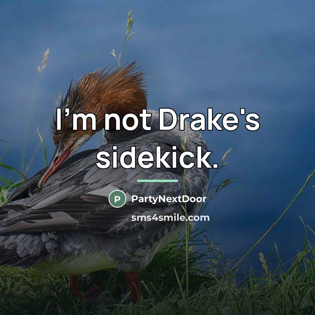 “I'm not Drake's sidekick.…” quote by PartyNextDoor