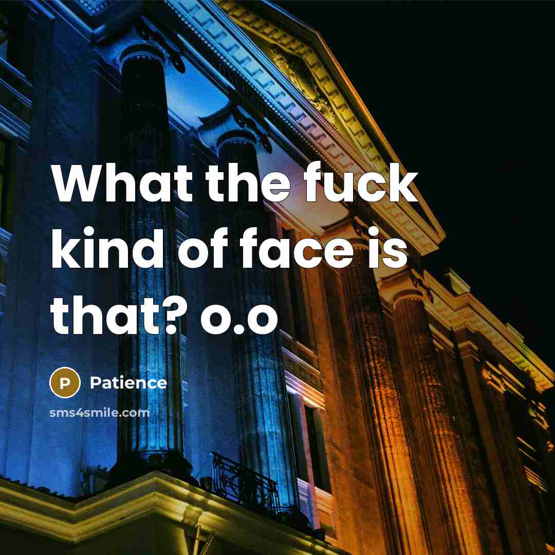 “What the fuck kind of face is that? o.o…” quote by Patience