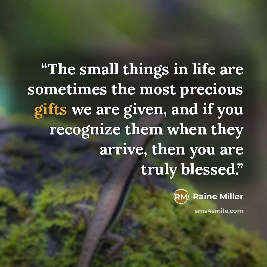 “The small things in life are sometimes the most precious gifts we are given, and if you recognize them when they arrive, then you are truly blessed.” quote by Raine Miller