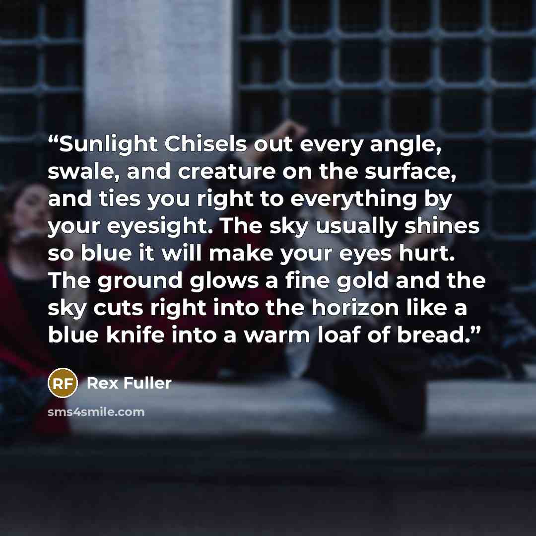 “Sunlight Chisels out every angle, swale, and creature on the surface, and ties you right to everything by your eyesight. The sky usually shines so blue it will make your eyes hurt. The ground glows a fine gold and the sky cuts right into the horizon like a blue knife into a warm loaf of bread.” quote by Rex Fuller