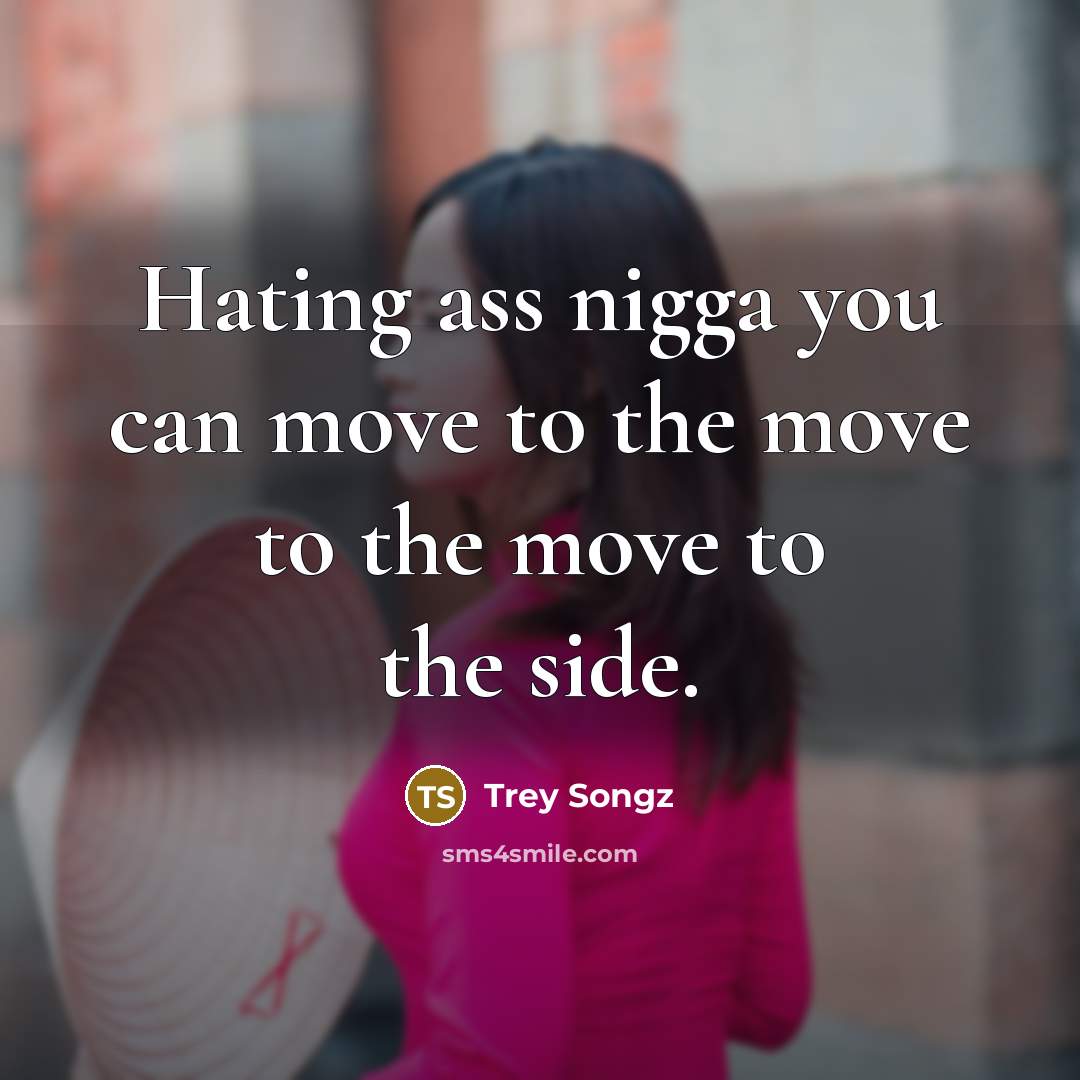 “Hating ass nigga you can move to the move to the move to the side.” quote by Trey Songz