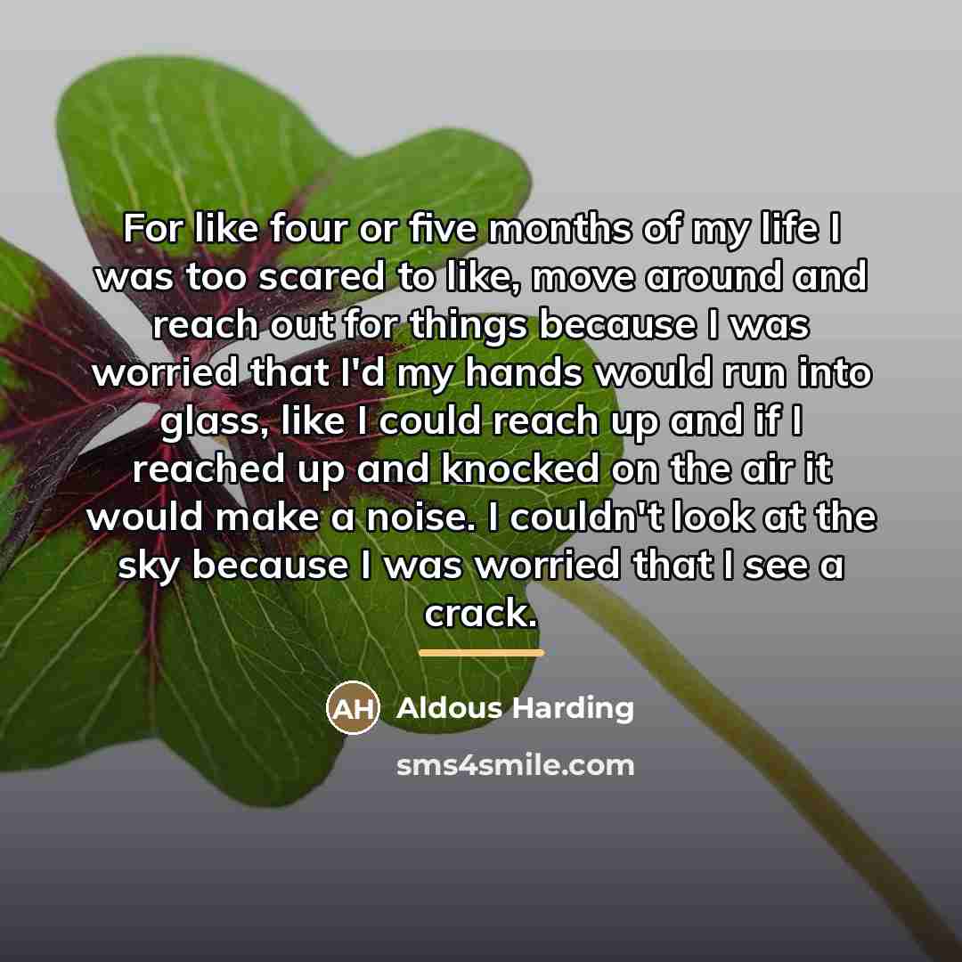 “For like four or five months of my life I…” quote by Aldous Harding