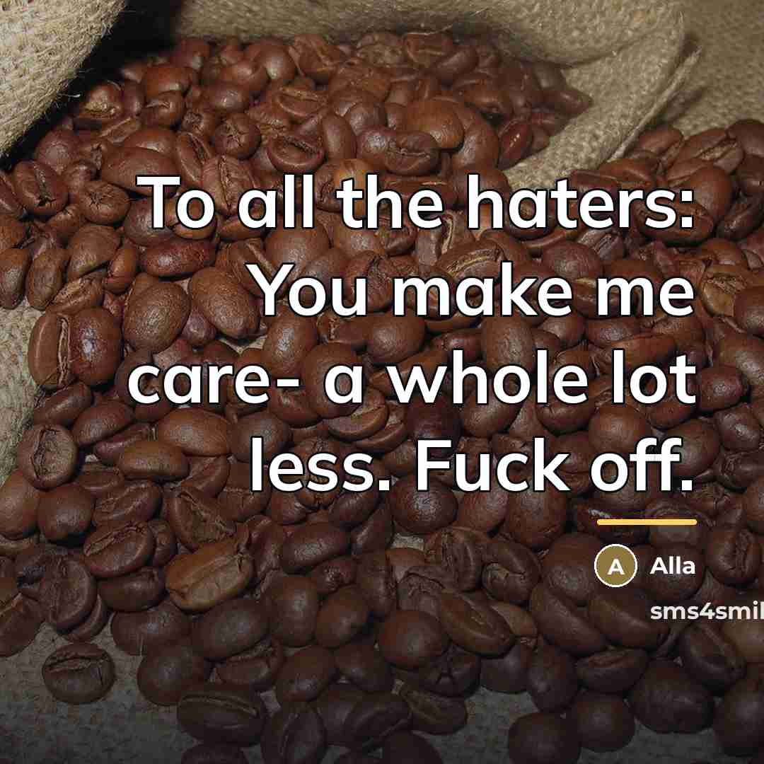 “To all the haters: You make me care- a whole…” quote by Alla