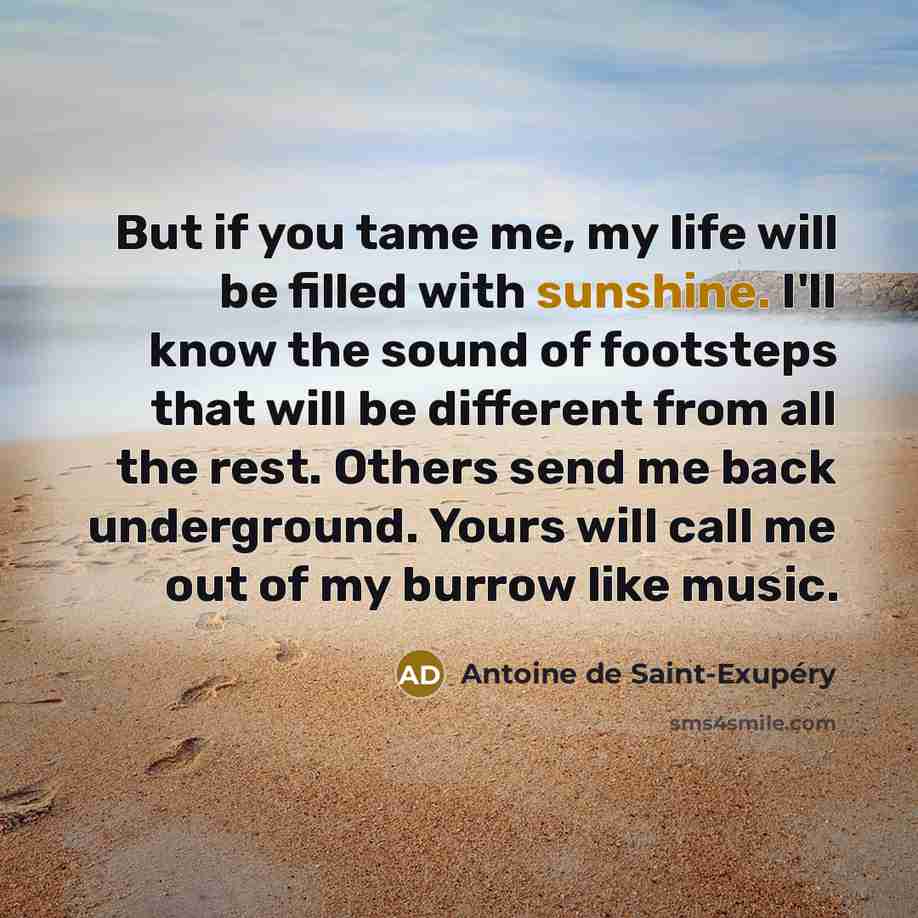 “But if you tame me, my life will be filled…” quote by Antoine de Saint-Exupery