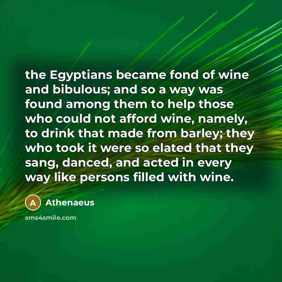 “the Egyptians became fond of wine and bibulous; and so…” quote by Athenaeus